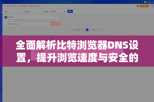 全面解析比特浏览器DNS设置，提升浏览速度与安全的关键步骤