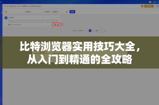 比特浏览器实用技巧大全，从入门到精通的全攻略